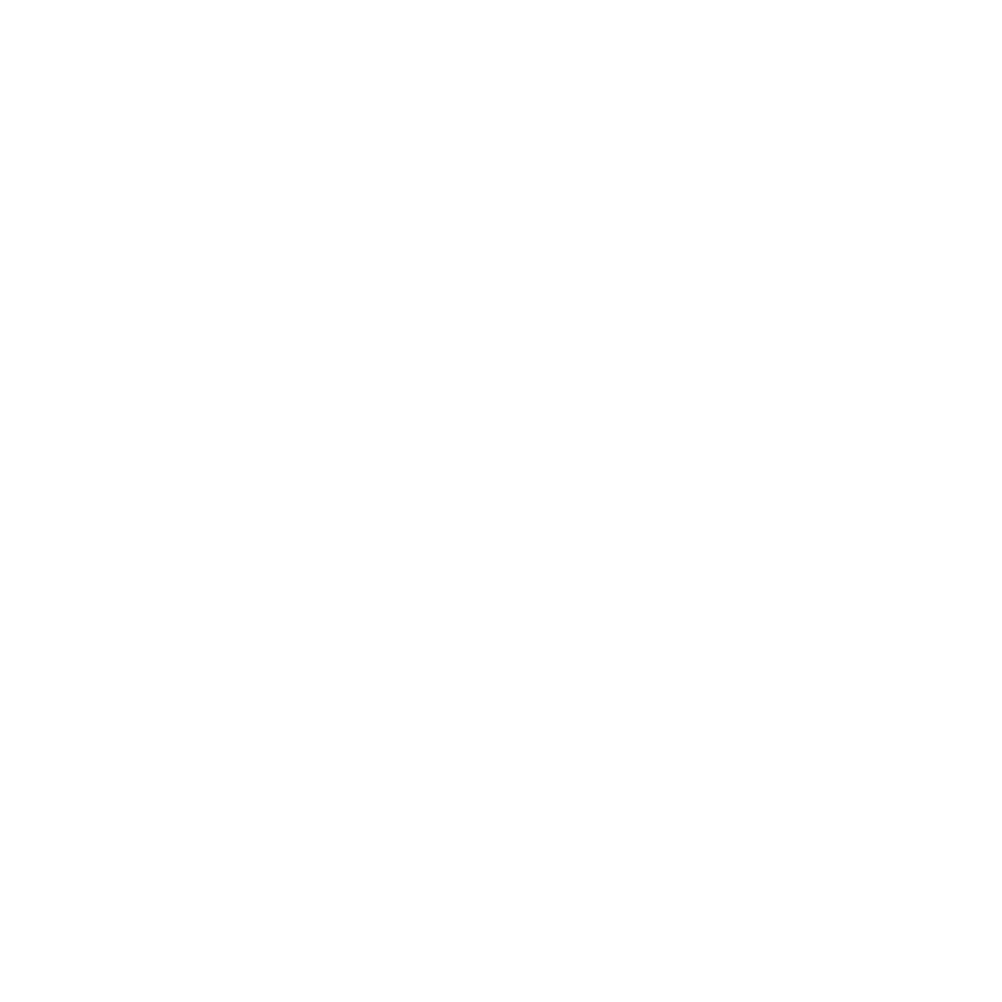 speed white (no bg)